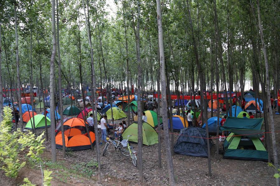 调整大小 照片 250.jpg