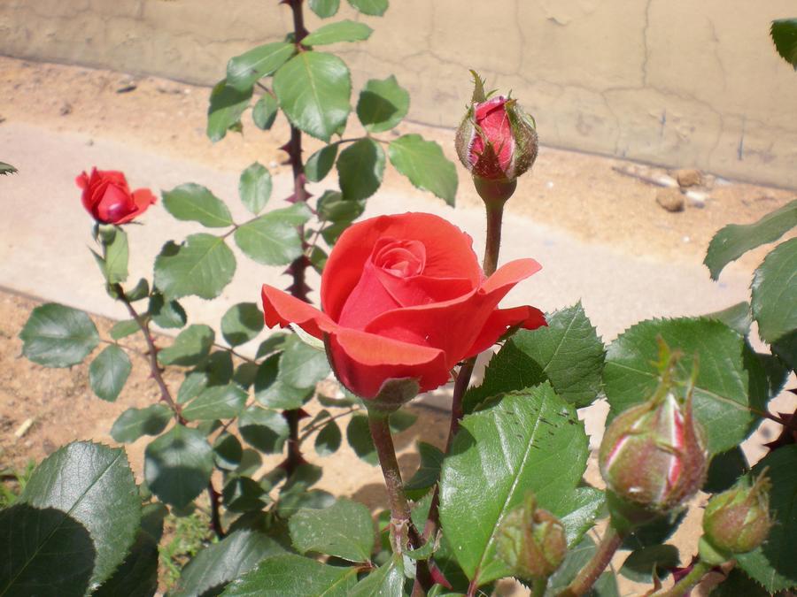 DSCN2748.JPG