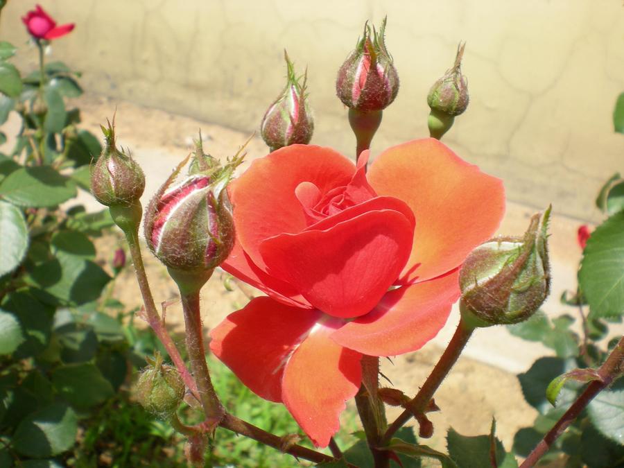 DSCN2747.JPG