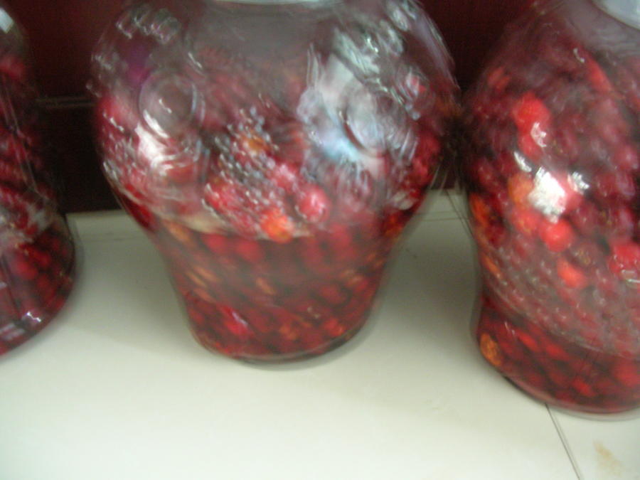 DSCN7837.JPG