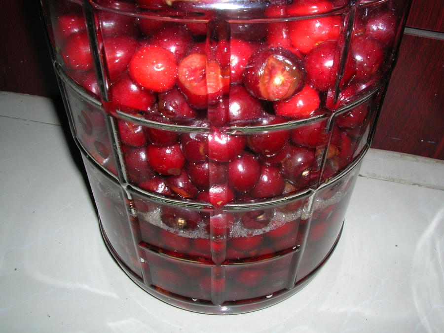 DSCN7839.JPG