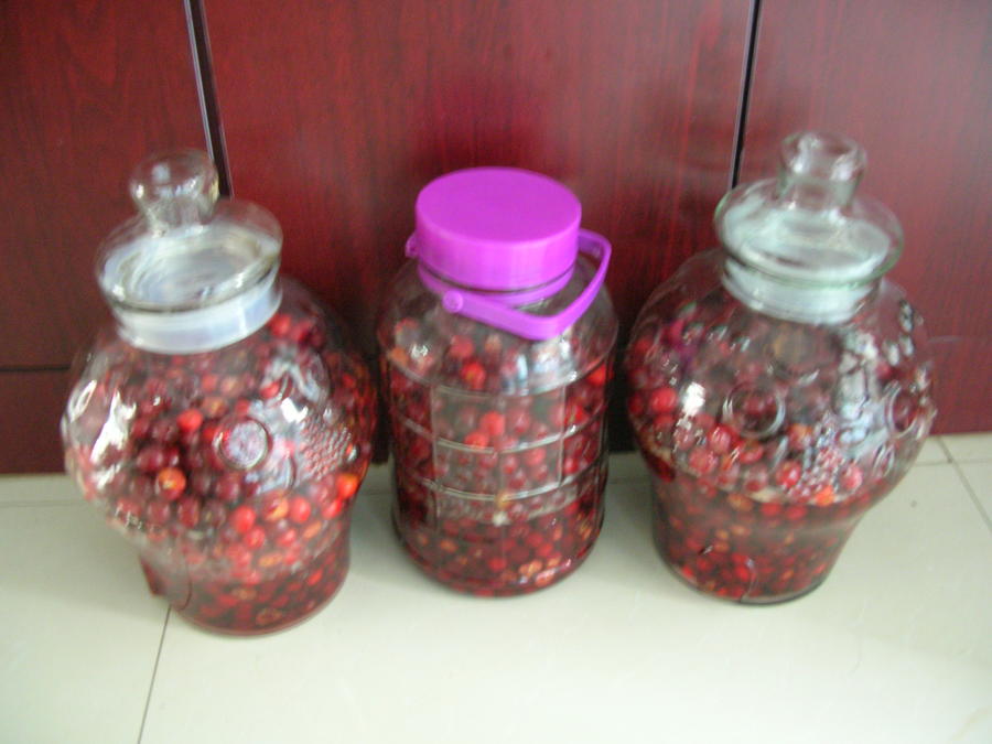 DSCN7840.JPG