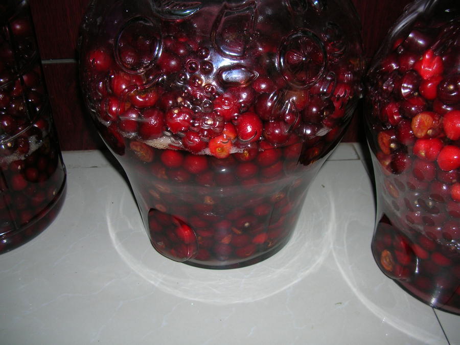 DSCN7838.JPG