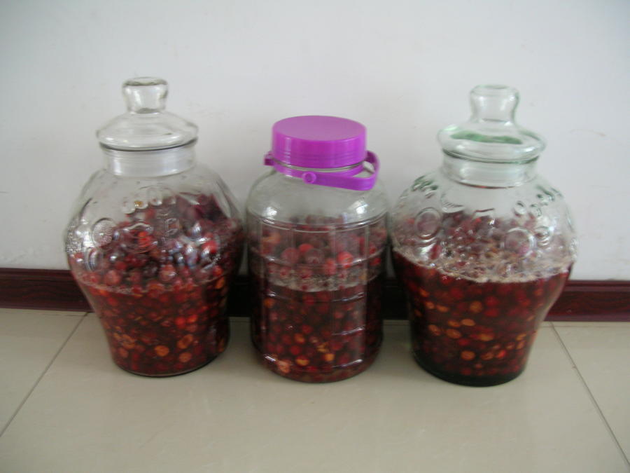 DSCN7843.JPG