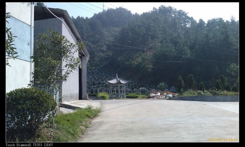 IMAG0005.jpg