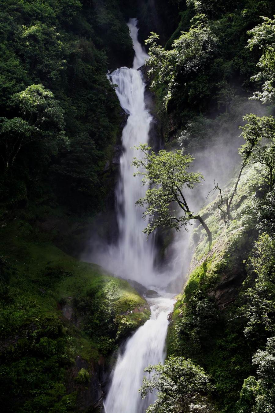 调整大小 IMG_79551.jpg