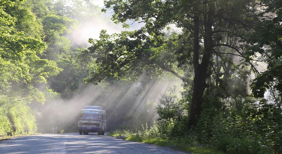 调整大小 IMG_77651.jpg