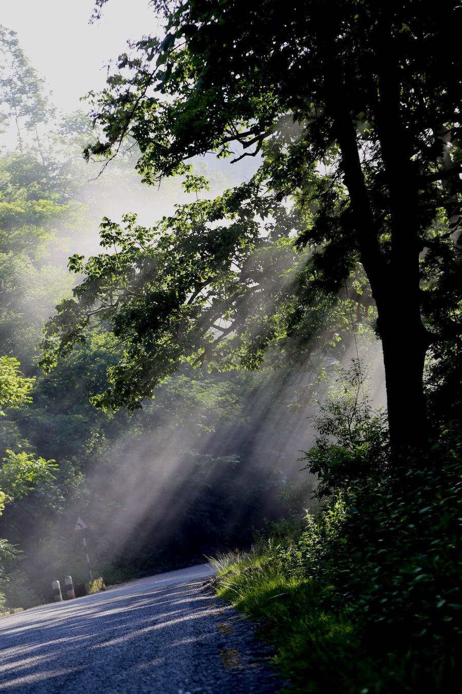 调整大小 IMG_77671.jpg