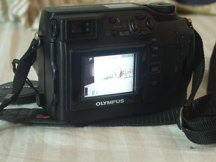 DSCF0858.jpg