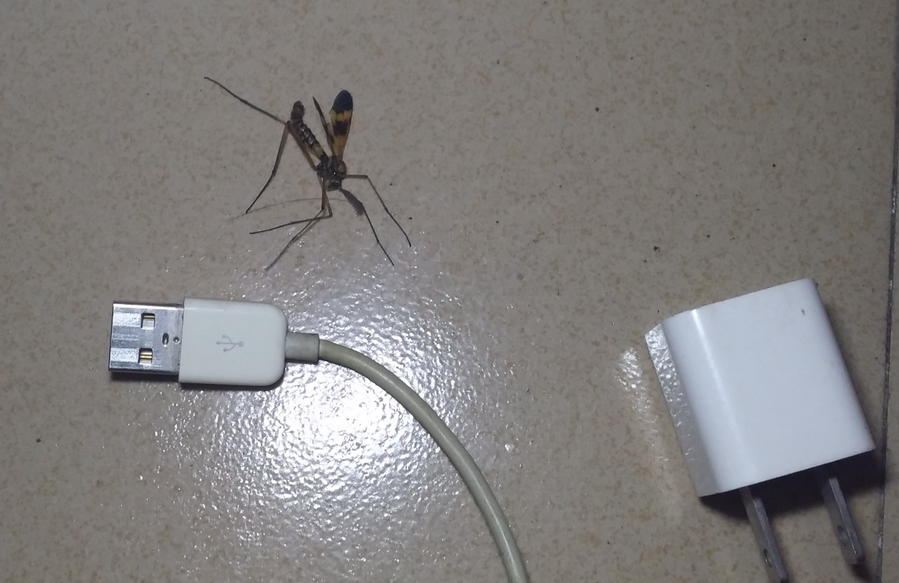 20140824_004517.jpg