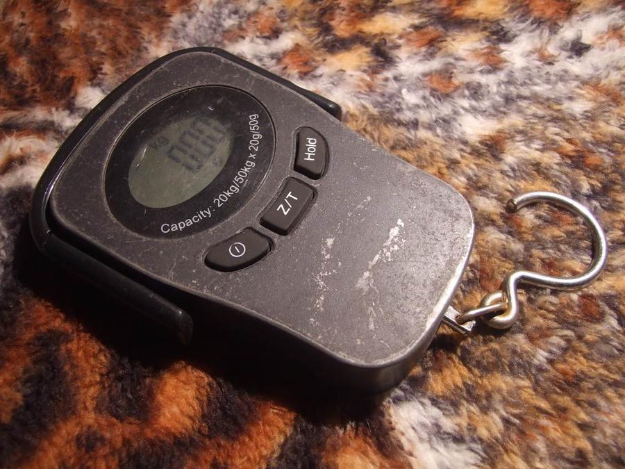 DSCF1038.jpg