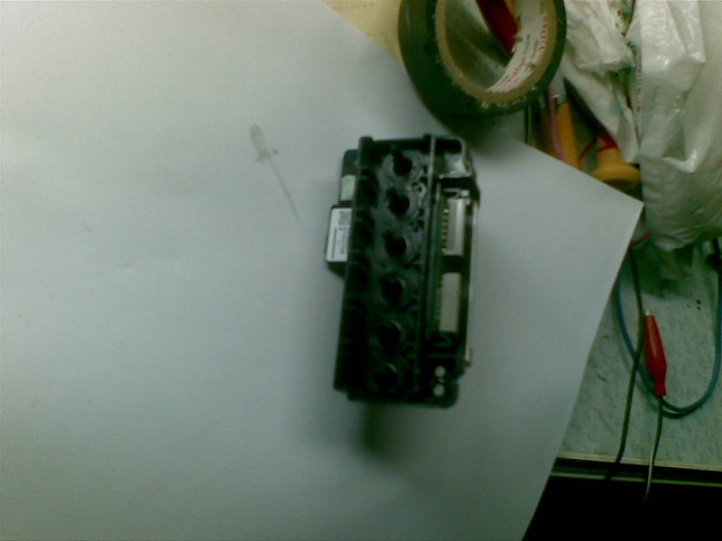 20100626(009).jpg