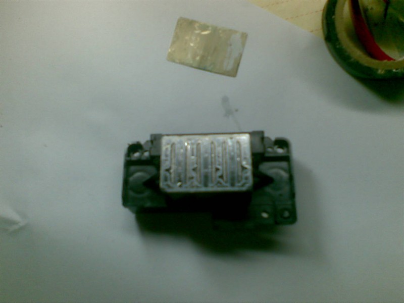 20100626(010).jpg