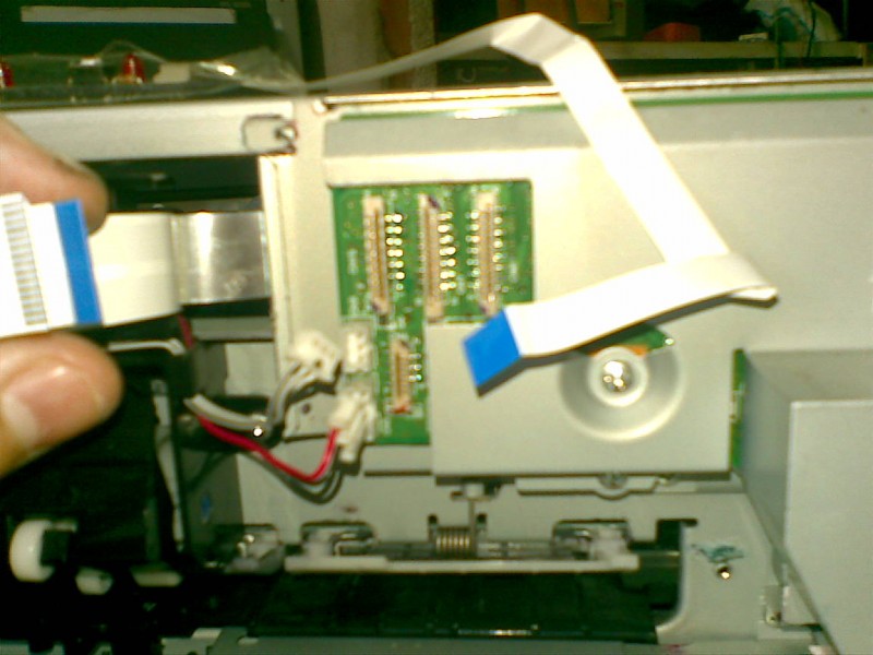 20100626.jpg