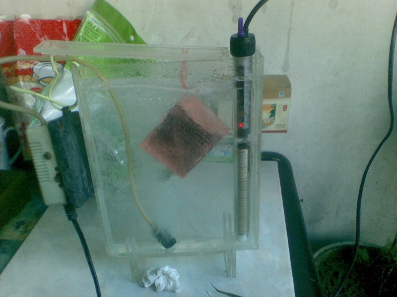 20101218(002).jpg