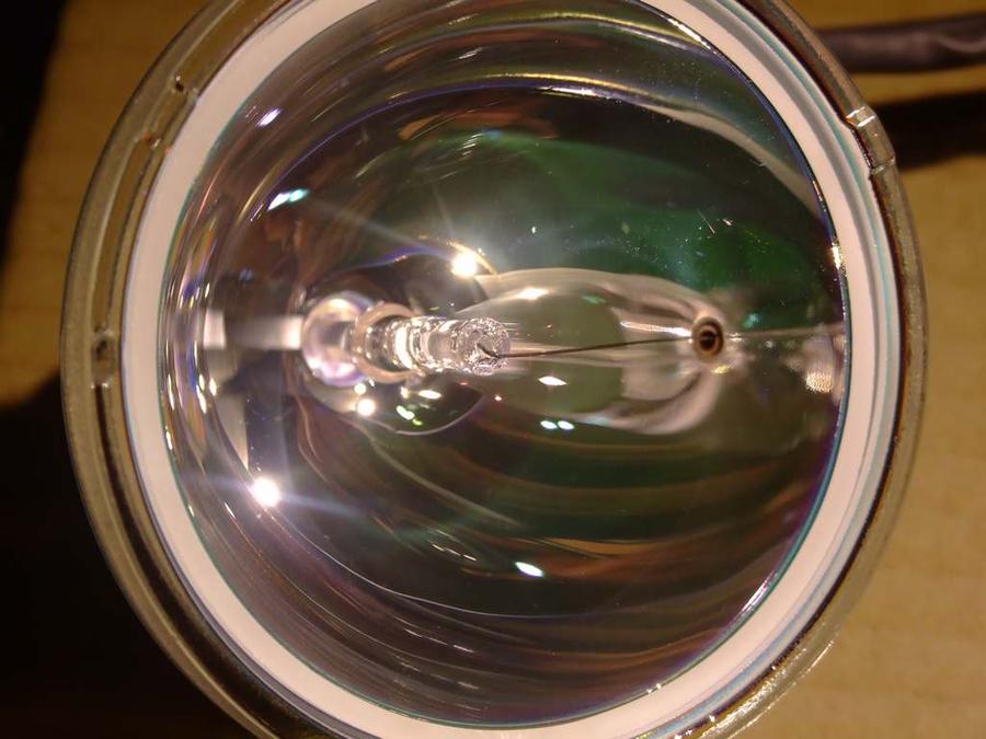 DSCF1487.jpg
