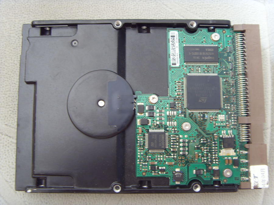 SDC10205.JPG