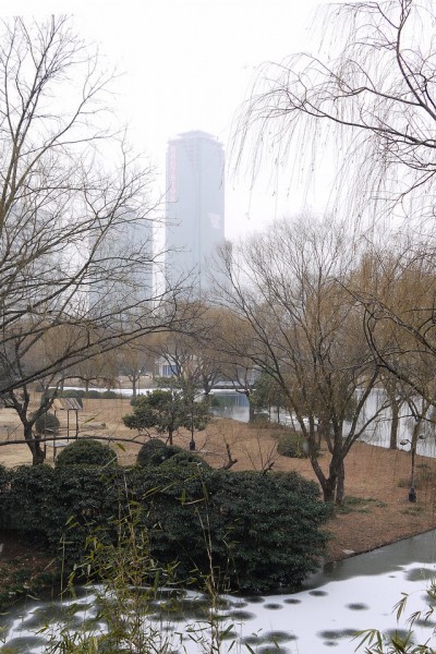P1210819.0.jpg