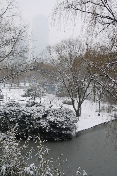 P1210823.0.jpg