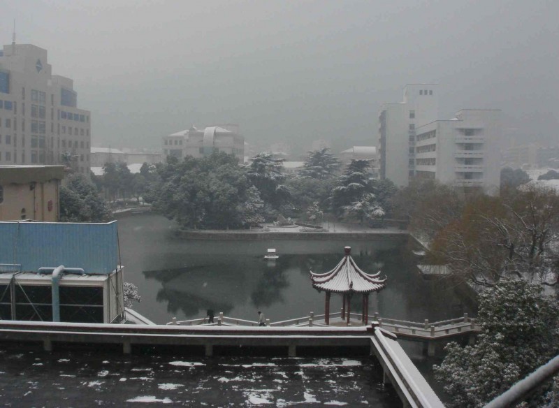 2011第一场雪3.jpg