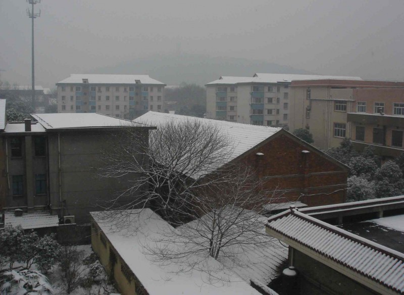 2011第一场雪2.jpg