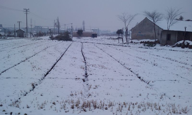 IMAG0117.jpg