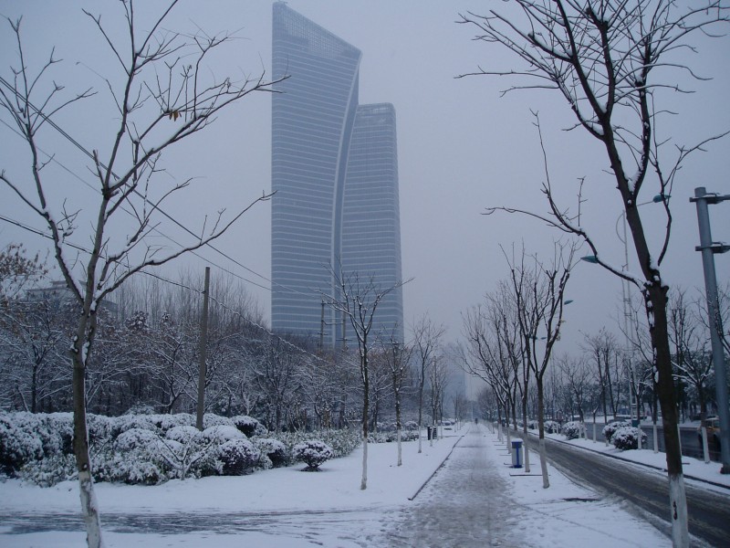 P1010027.JPG