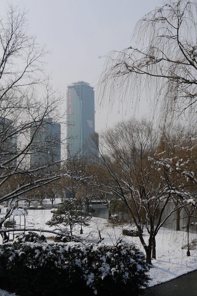 P1210951.20.jpg