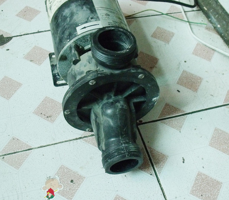 DSCF1697.JPG