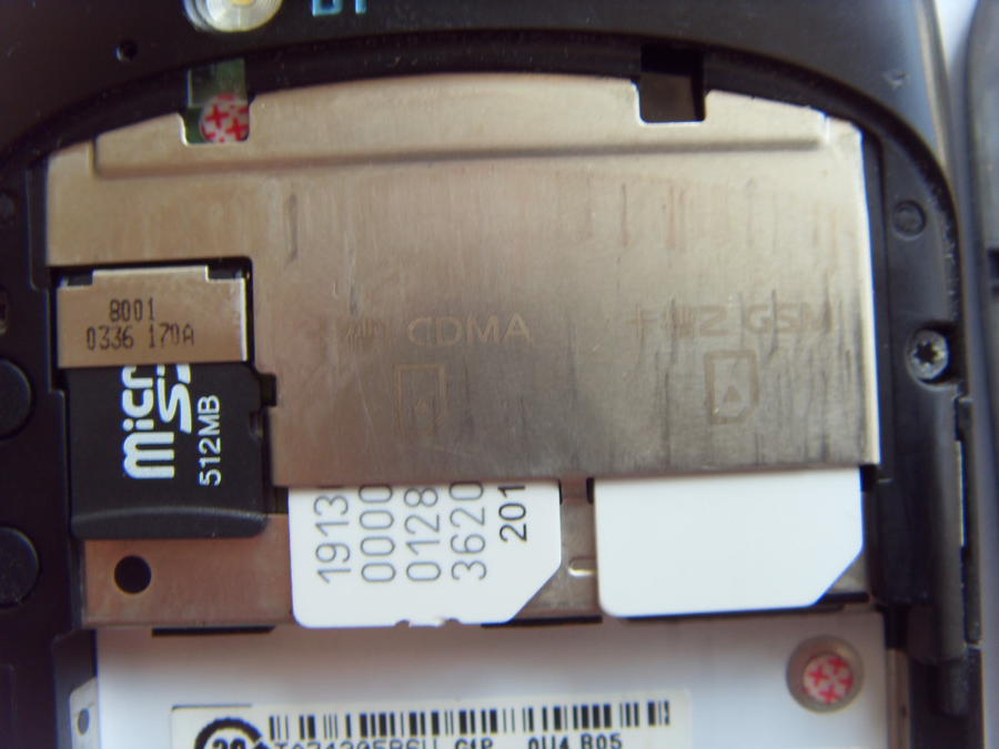 SDC10149.JPG
