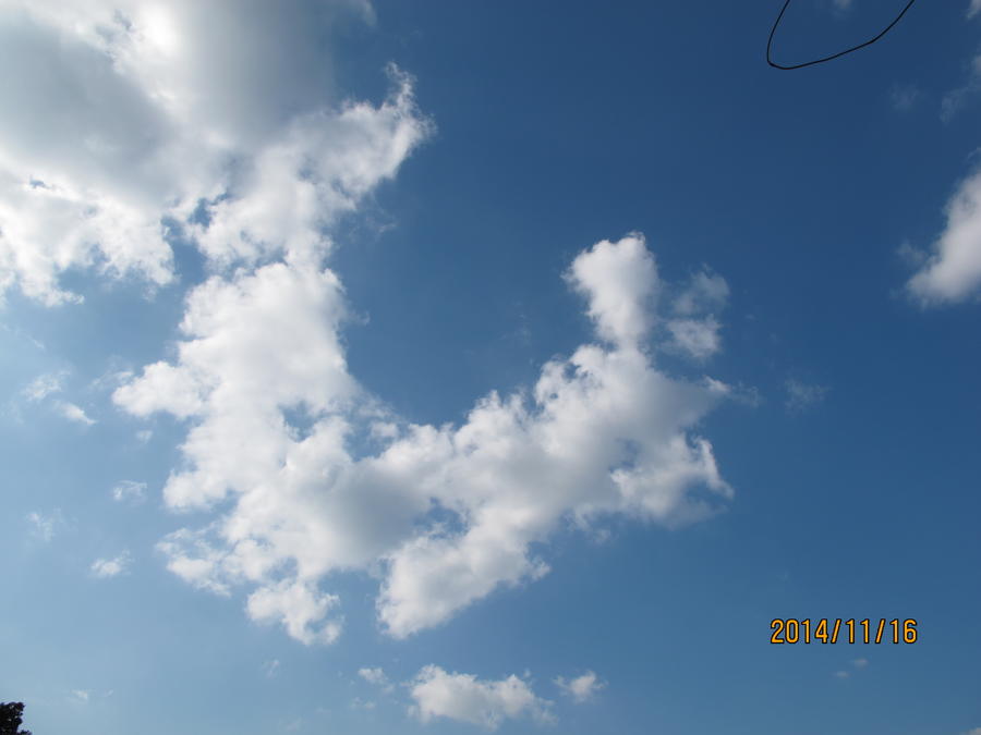 IMG_0922.JPG