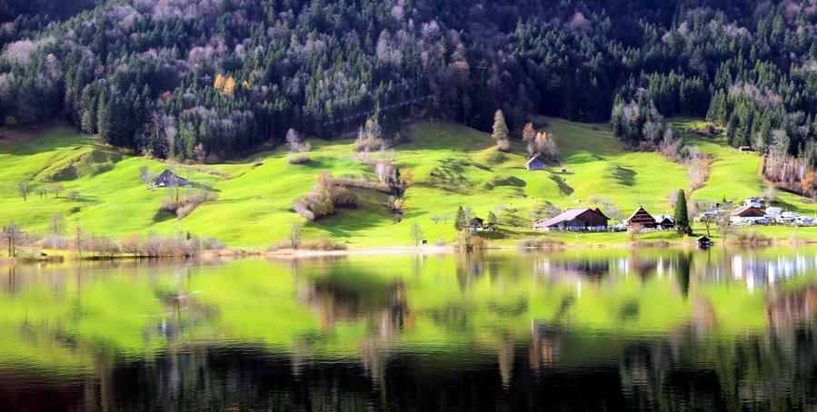 调整大小 IMG_878511.jpg