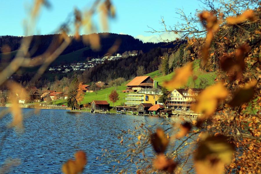 调整大小 IMG_897711.jpg