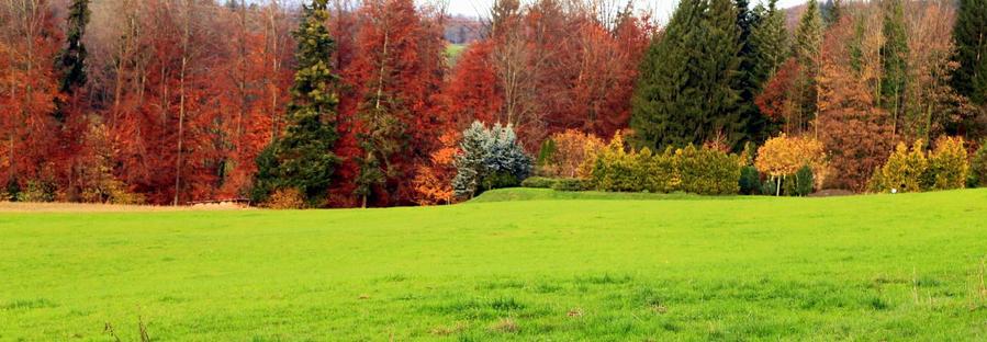 调整大小 IMG_909611.jpg