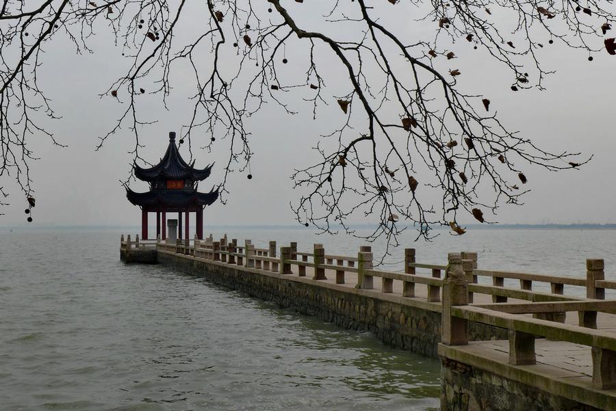 P1120969_dh.1.jpg