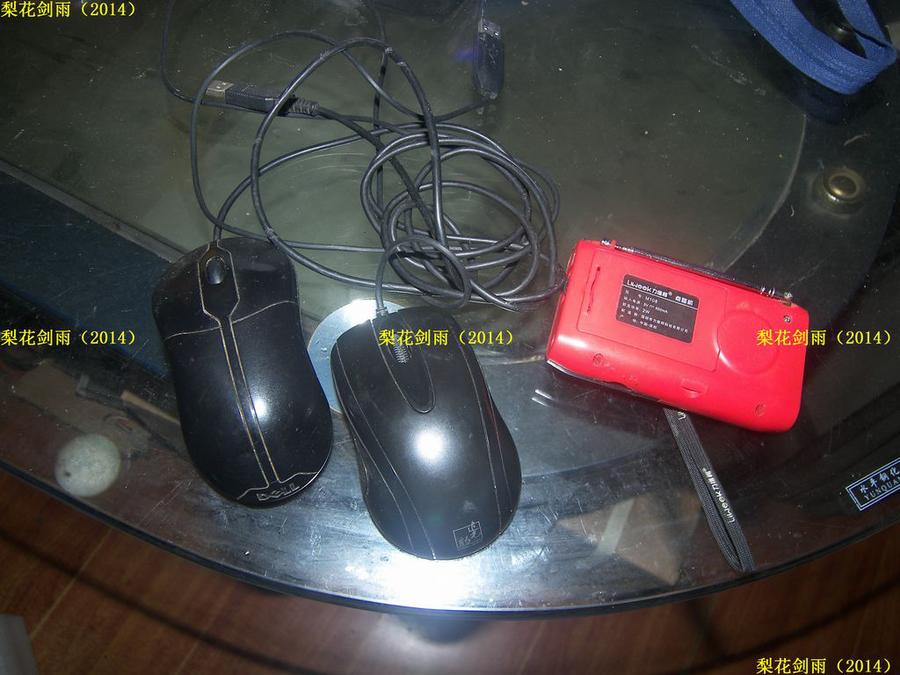 nEO_IMG_100_2575.jpg