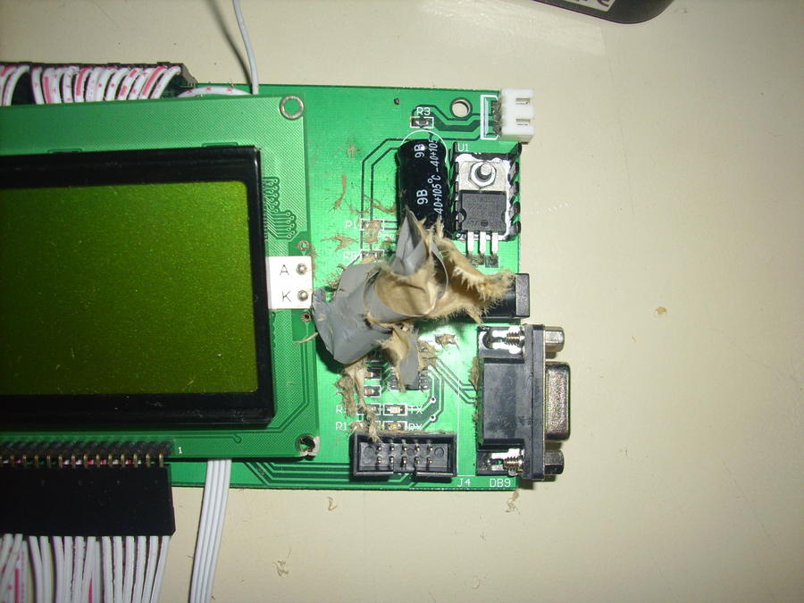 DSCI0524.JPG