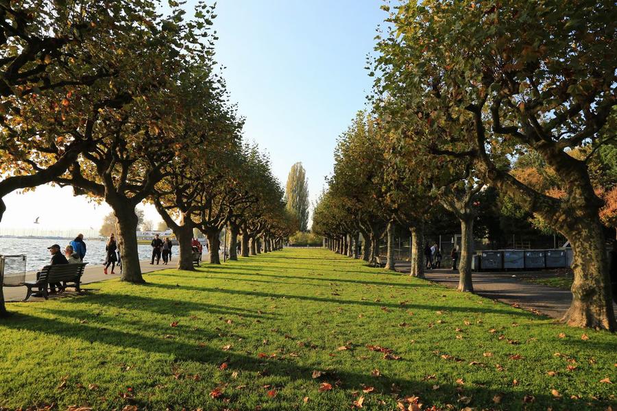 调整大小 IMG_2193.JPG