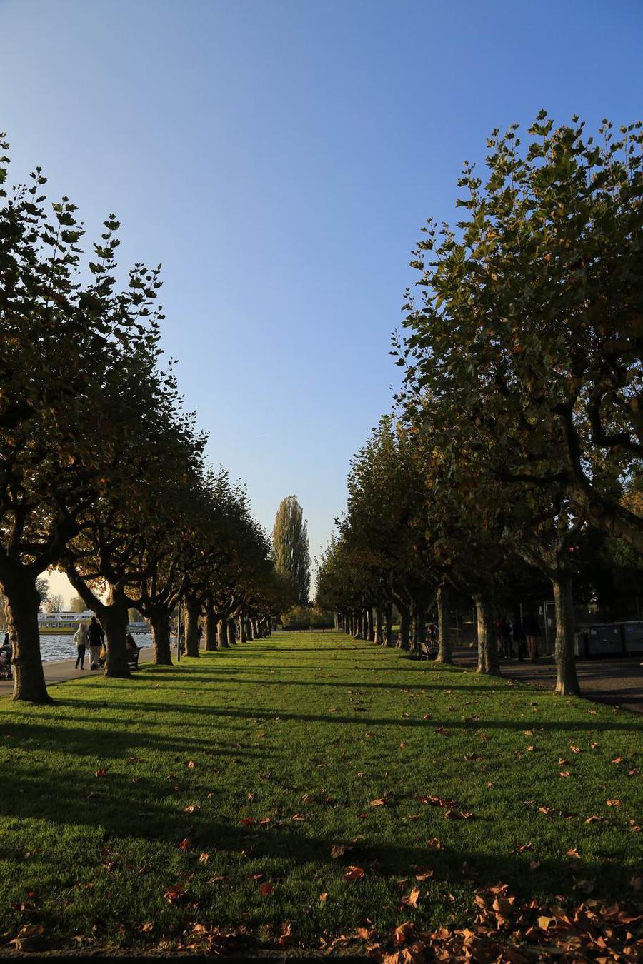 调整大小 IMG_2196.JPG