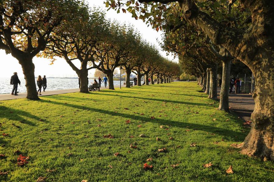 调整大小 IMG_2198.JPG