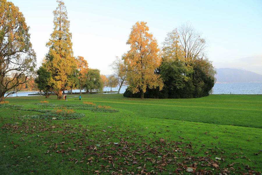 调整大小 IMG_2219.JPG