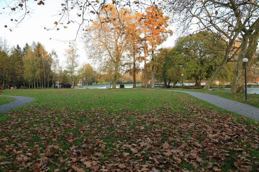 调整大小 IMG_2231.JPG