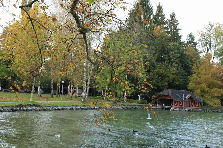 调整大小 IMG_2240.JPG