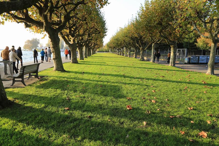 调整大小 IMG_2203.JPG