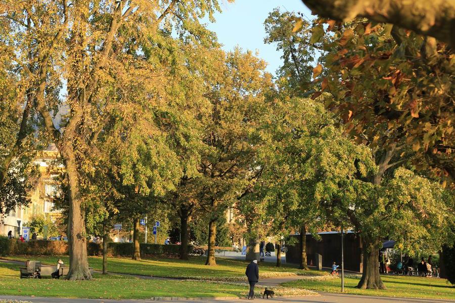 调整大小 IMG_2204.JPG