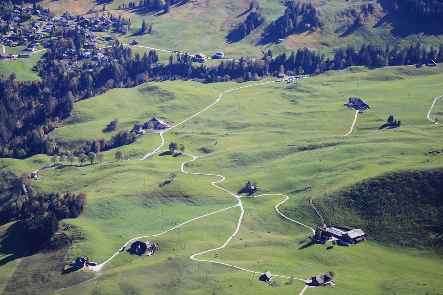 调整大小 IMG_0292.JPG