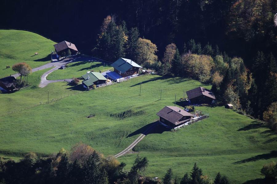 调整大小 IMG_0285.JPG