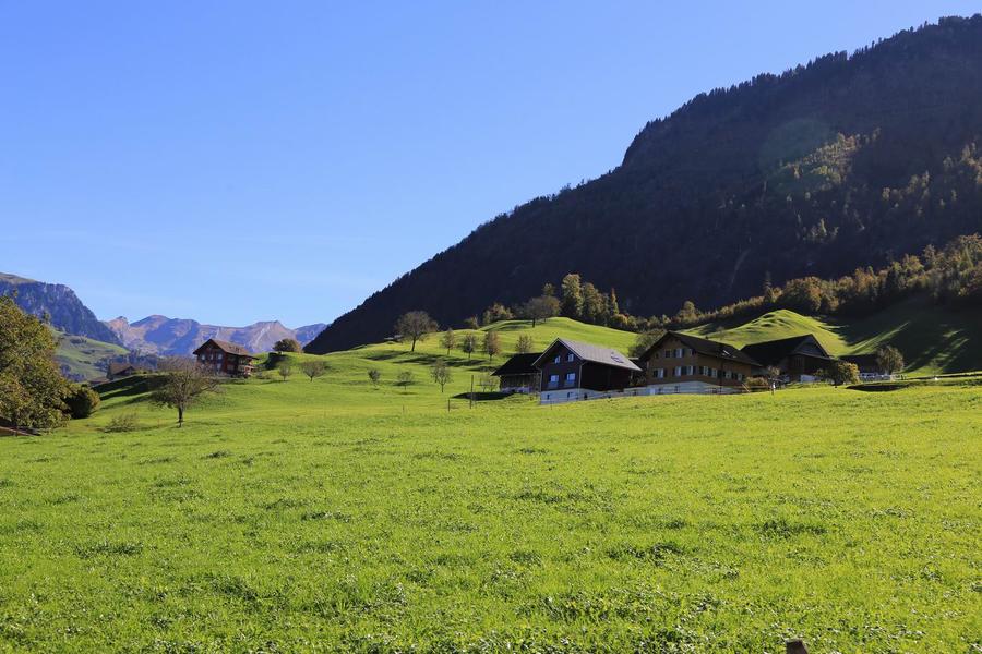 调整大小 IMG_0178.JPG