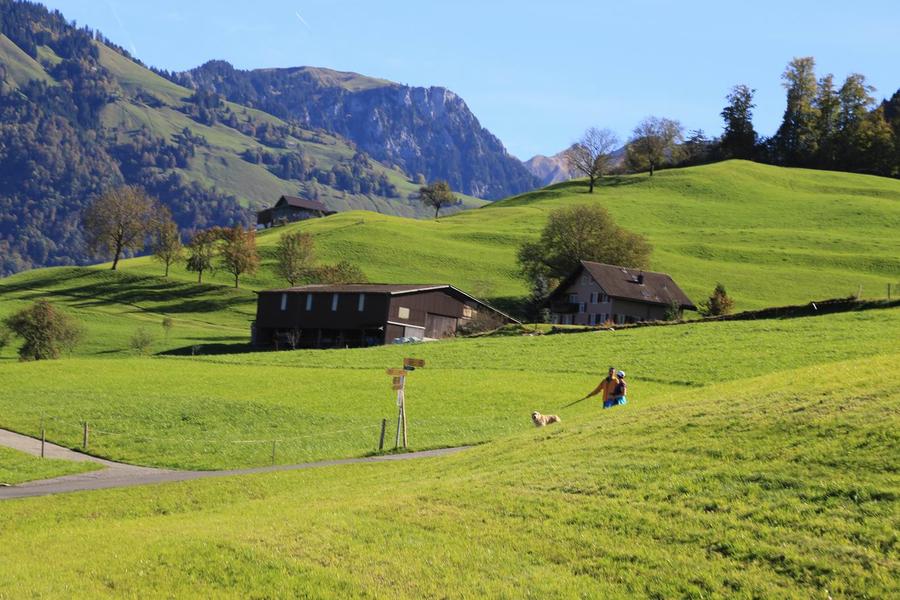 调整大小 IMG_0187.JPG