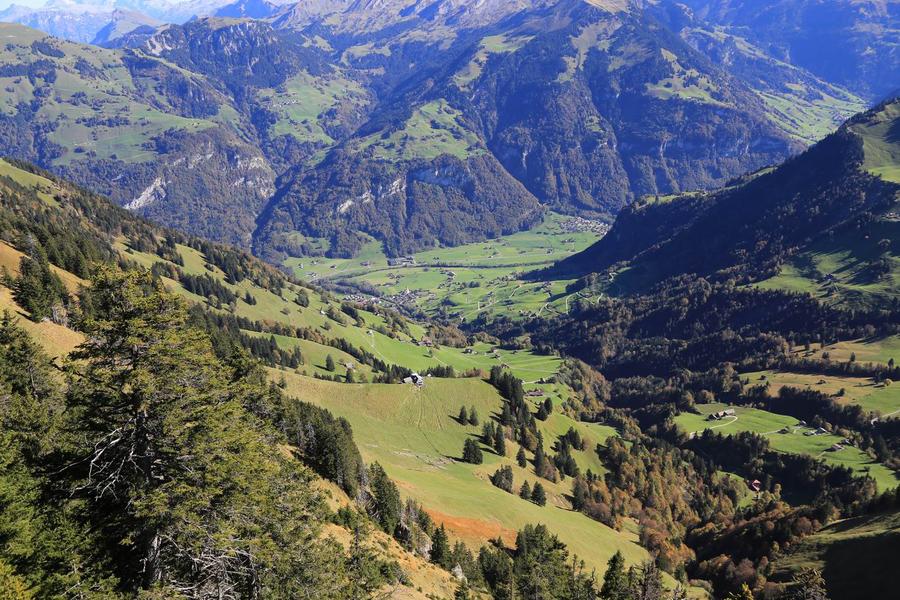 调整大小 IMG_0267.JPG